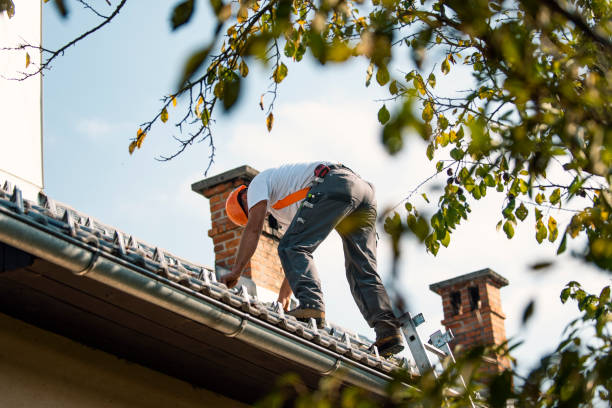 Best Roof Repair Services  in Dunnavant, AL