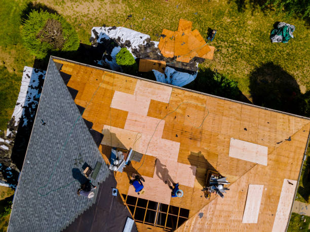 Best Metal Roofing Contractor  in Dunnavant, AL